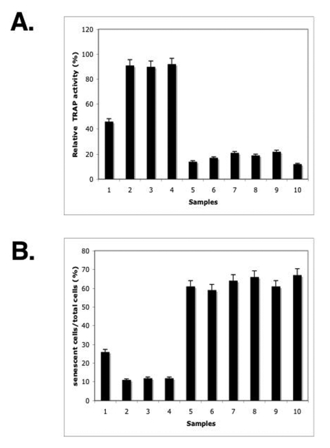 ΔNp63α overexpression modulated the overall telomerase activity and induced a S-β-gal activity