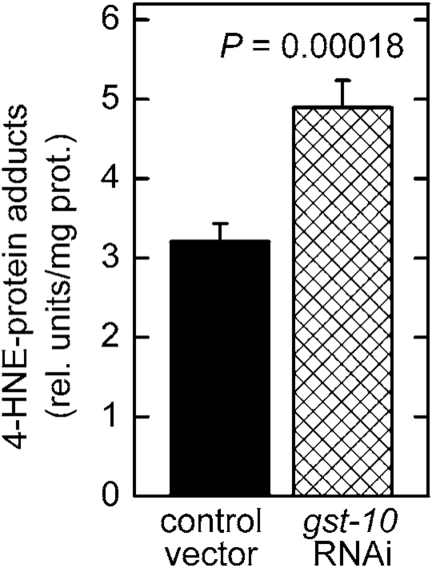 Increased level of 4‑HNE-protein adducts in C. elegans with silenced gst‑10 gene