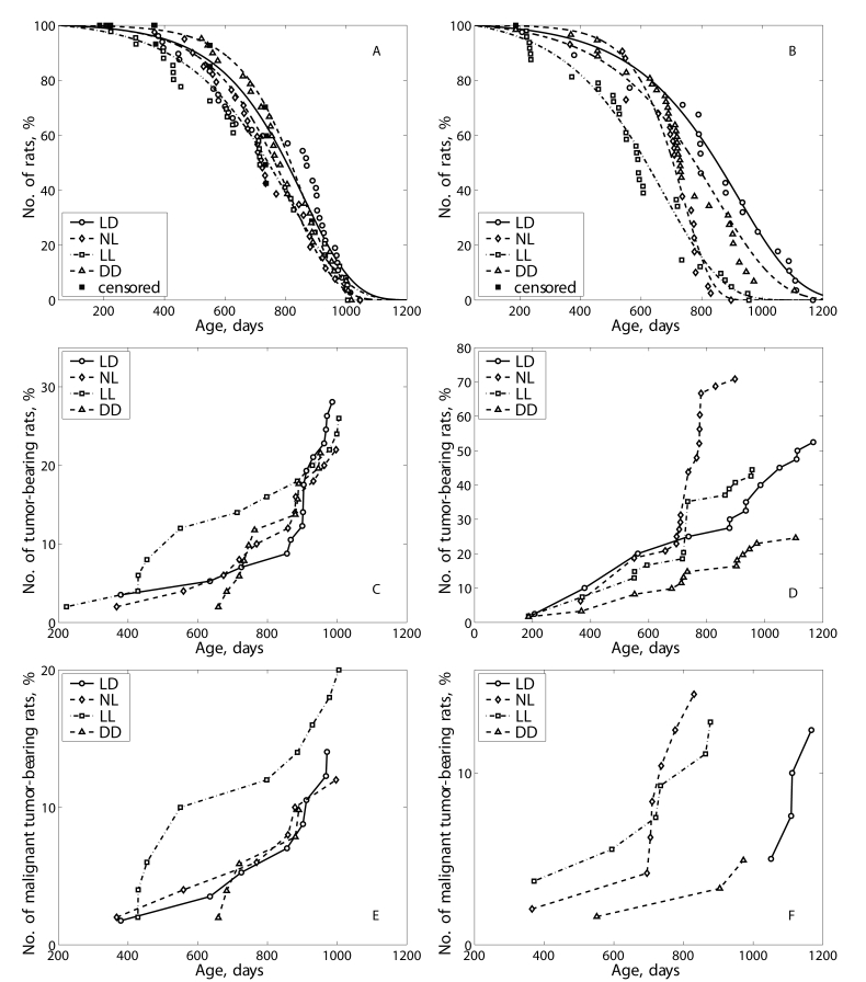 Effect of the exposure to various light regimens on survival and tumorigenesis in rats