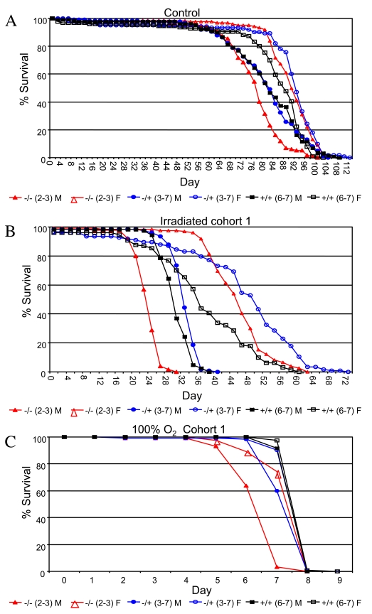 Survival curves for the indicated genotypes under stress conditions