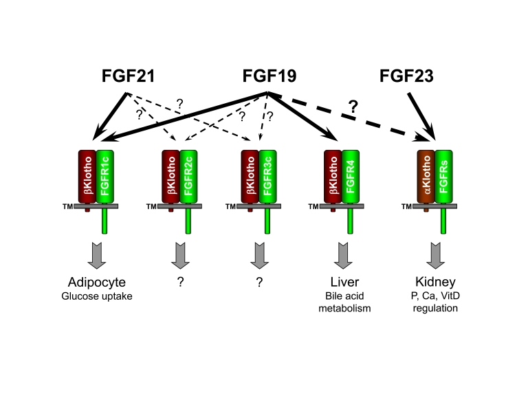 class="figure-viewer-img"