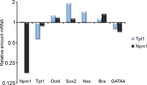 Tpt1 and Npm1 are involved in ES cell maintenance