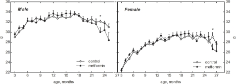 Dynamics of body weight in male and female 129/Sv mice treated or non-treated with metformin