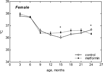 Dynamics of body temperature in female 129/Sv mice treated or non-treated with metformin