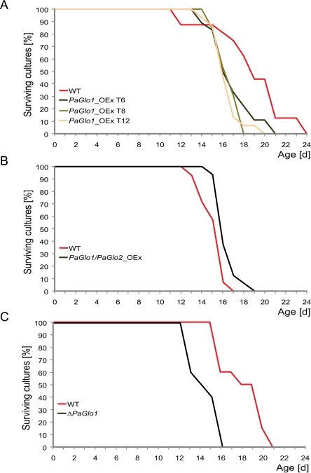 Survival curves of transgenic glyoxalase strains on PASM 2% glucose