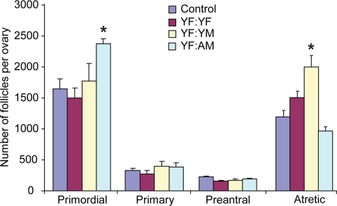 Blood of aged males increases the ovarian follicle reserve in adult females