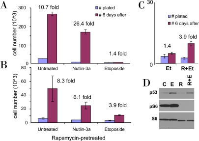 Rapamycin pretreatment prevents loss of proliferative potential during etoposide treatment