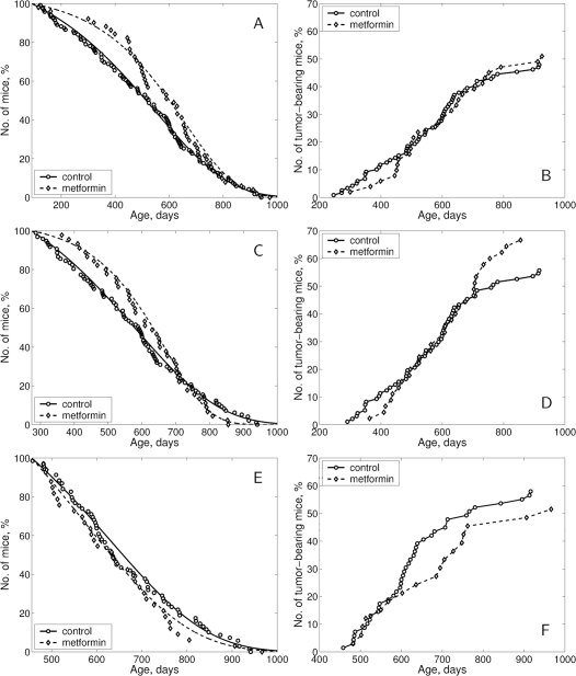 Survival curves and tumor yield curves in female in SHR mice not treated and treated with metformin starting at the age of 3 (A, B), 9 (C, D) or 15 months (E, F).