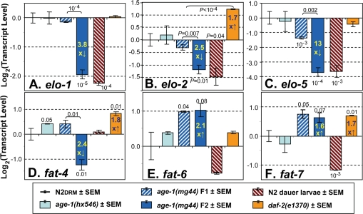 Steady-state transcript levels for genes of lipid metabolism