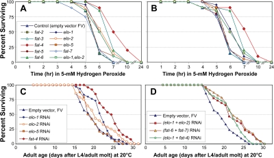 Survival of peroxide stress, and unstressed longevity, of C. elegans adults after elongase- or desaturase-specific knock-down by RNAi