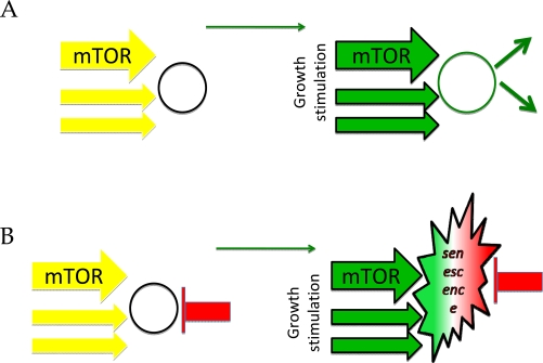 class="figure-viewer-img"