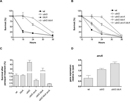 ArcA enhances lifespan and stress resistance through TdcA