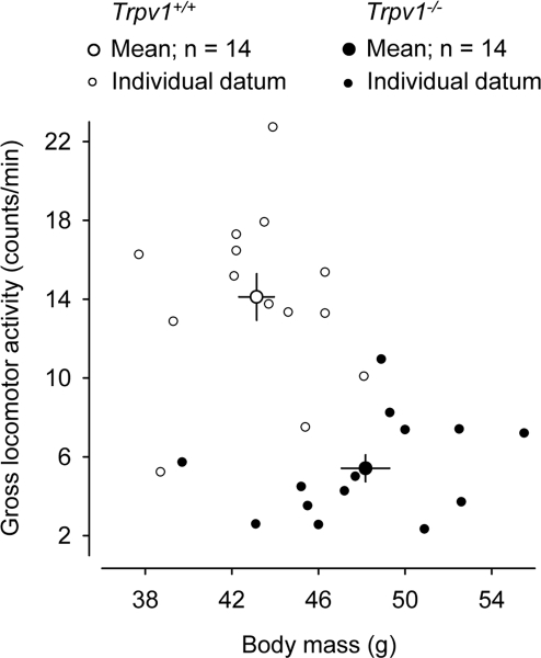 Aged Trpv1−/− mice have a higher body mass (P = 1 × 10−3) and a lower general locomotor activity (P −7) than their genetically unaltered littermates. Group means (± SE) and individual data are shown. The locomotor activity was measured by telemetry during a 3-h period at the beginning of the inactive phase. The ambient temperature was 28°C.