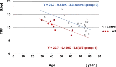 Scatter plot analysis of HinfI-digested TRF length in skin samples from WS patients and controls