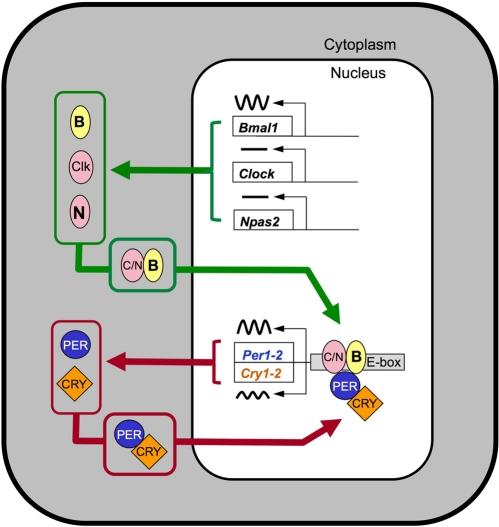 class="figure-viewer-img"