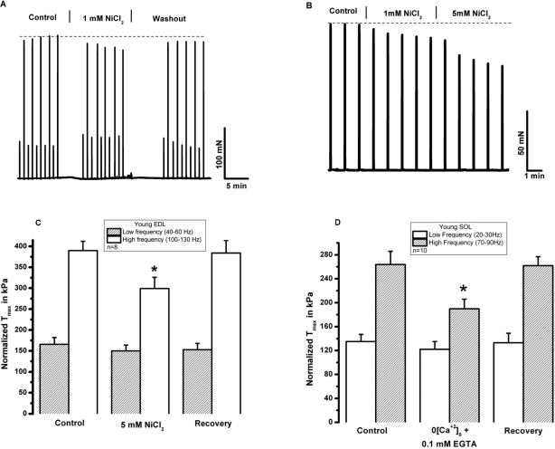 Extracellular Ni2+ reduces tetanic force in young skeletal muscle