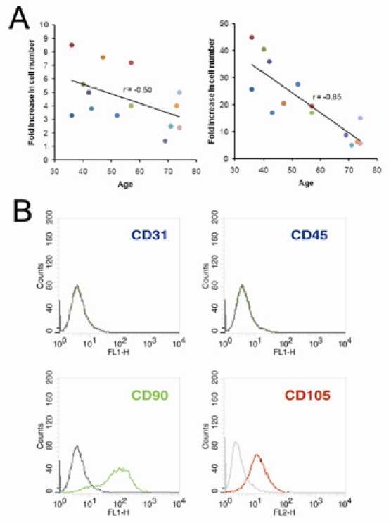 Growth rate of human bone marrow-derived plastic-adherent cells