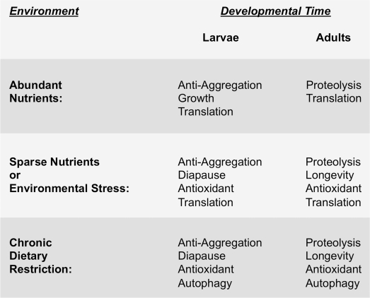 Environment and developmental timing to-gether specify the physiological strategy cells use to maintain protein homeostasis
