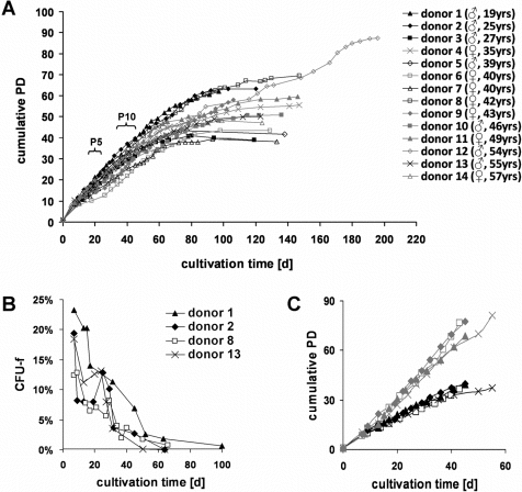 Long-term growth curves of MSC