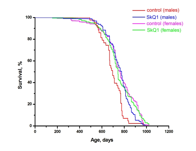 Effect of SkQ1 on the lifespan of male and female BALB/c mice. The specific pathogen free (SPF) vivarium of the Shemyakin and Ovchinnikov Institute of Bioorganic Chemistry in Moscow was used. During the first year, 10 males were housed in each cage. Thereafter they were individually housed. Cages with females contained 10 animals during their entire life. A total of 440 mice were studied. Two SkQ1 concentrations were used, 1 and 30 nmol/kg per day. Results of the two SkQ1-receiving groups were combined. For males, p 