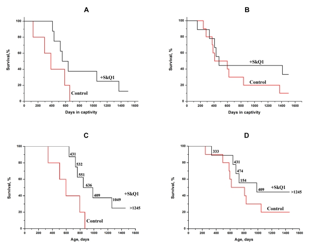 SkQ1 (50 nmol/kg per day) increases the lifespan of a wild rodent, the mole-vole Ellobius talpinus, under simulated natural conditions. A total of 32 animals were used in the experiments. A, C, males; B, D, females. Statistical significance p C, D) was determined post mortem by measuring the parameters of the root of the 1st mandibular molar.