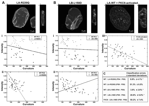 Successful cell classification in cells expressing mutations in lamina proteins