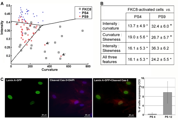 A three-cell population classification assay indicates activation of apoptosis during senescence