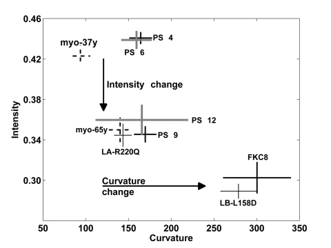 A trend in change of the nuclear lamina between cell populations