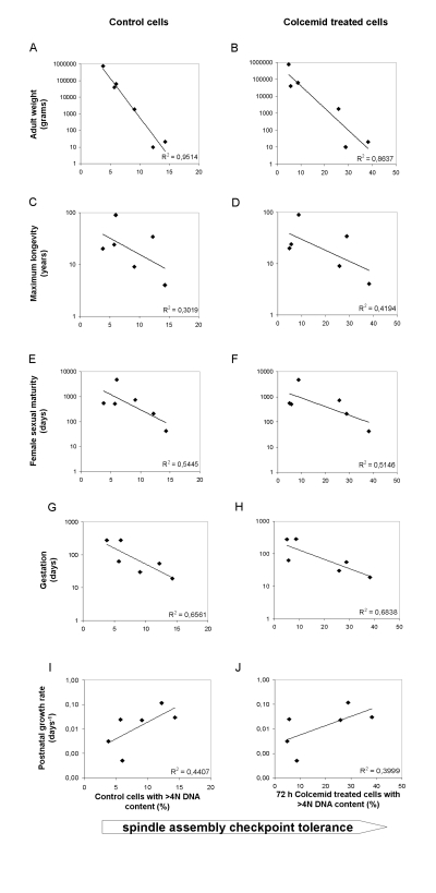 Correlation among the spindle assembly checkpoint (SAC) tolerance with several species parameters