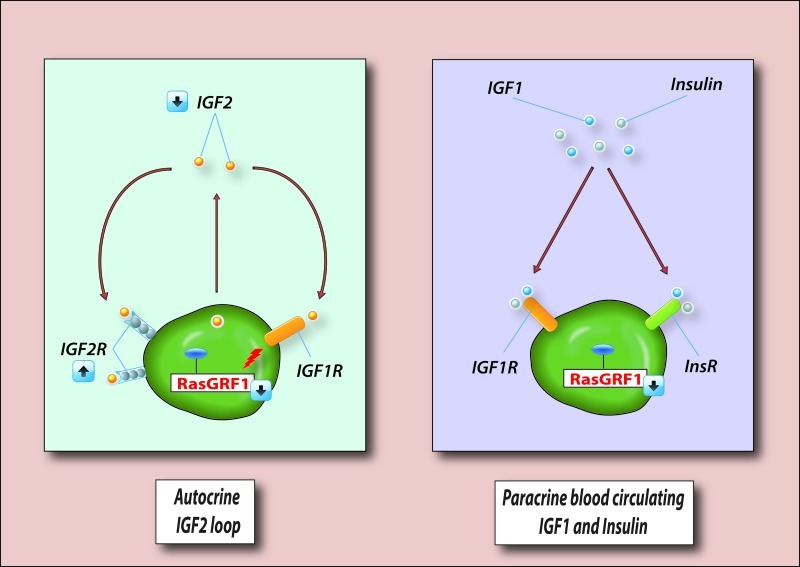 class="figure-viewer-img"