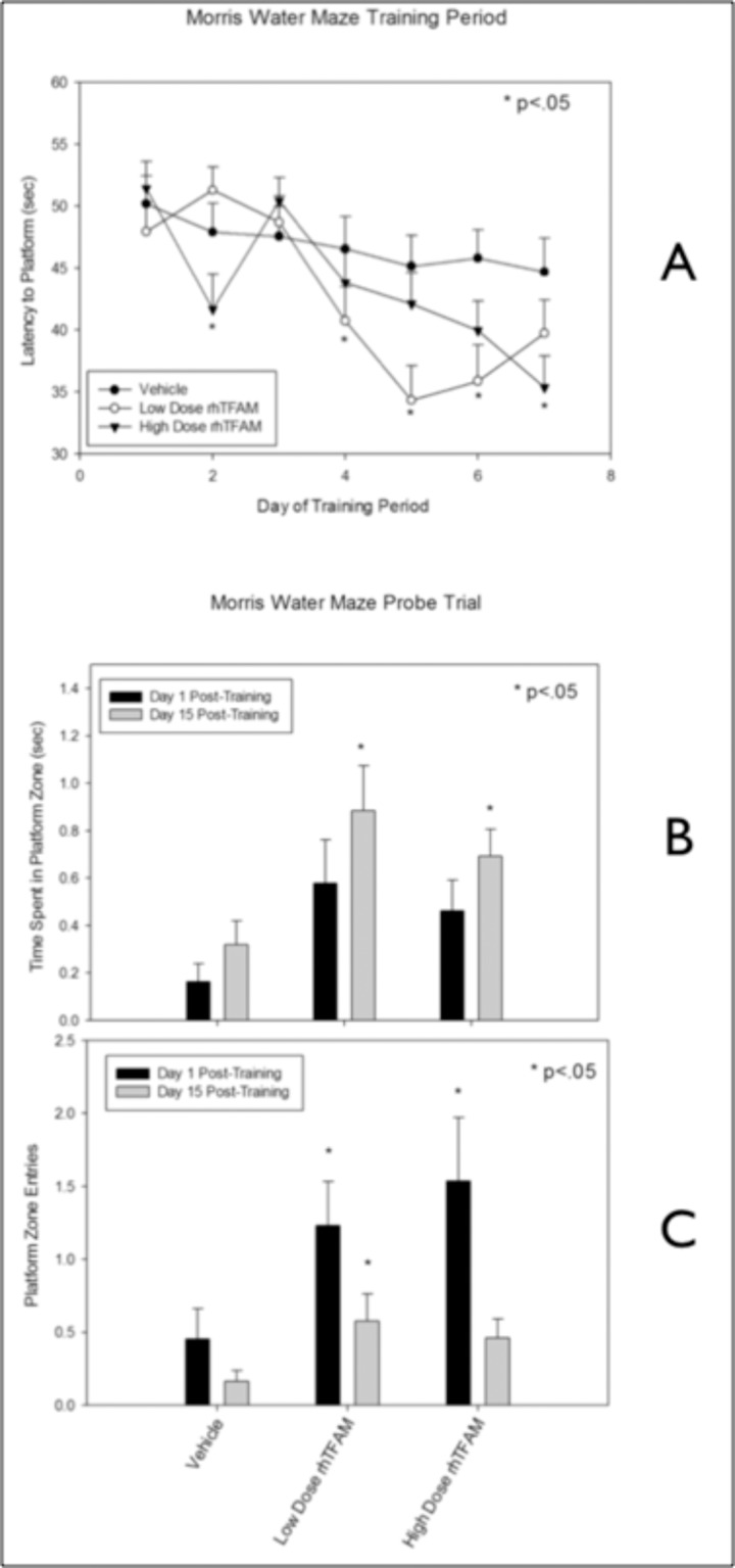 RhTFAM treatment improves learning and memory in aged mice