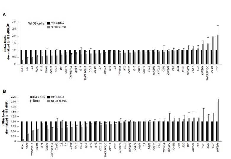 Influence of NF90 on the steady-state expression of SASP mRNAs