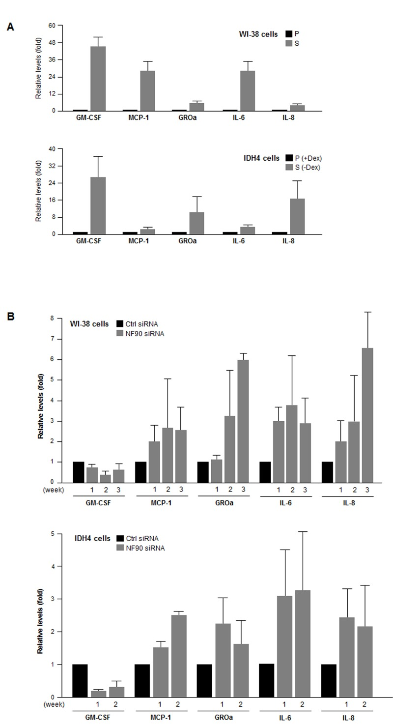 SASP factor abundance as a function of NF90 levels