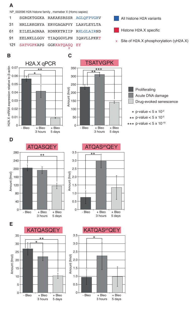 Relative abundance of unique phosphorylated, unphosphorylated C-terminal, and internal monitoring H2A.X peptides measured by SRM and qPCR