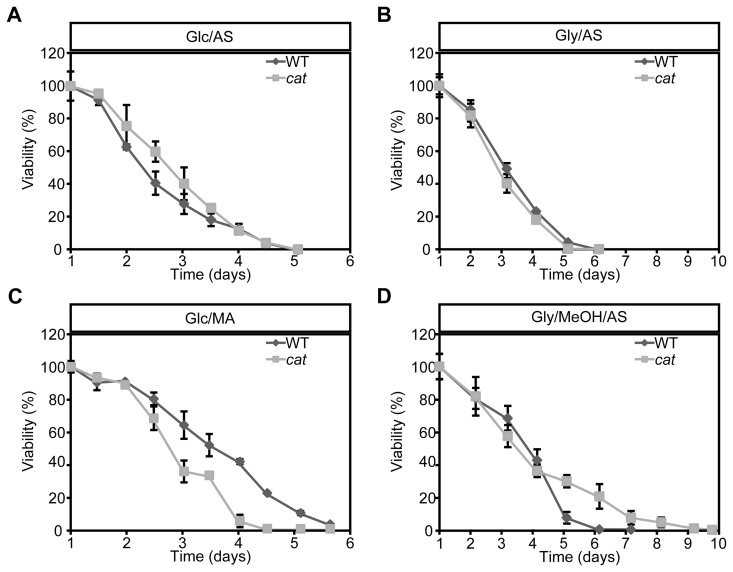 Chronological lifespan of H. polymorpha WT and cat cells grown on different carbon and nitrogen sources