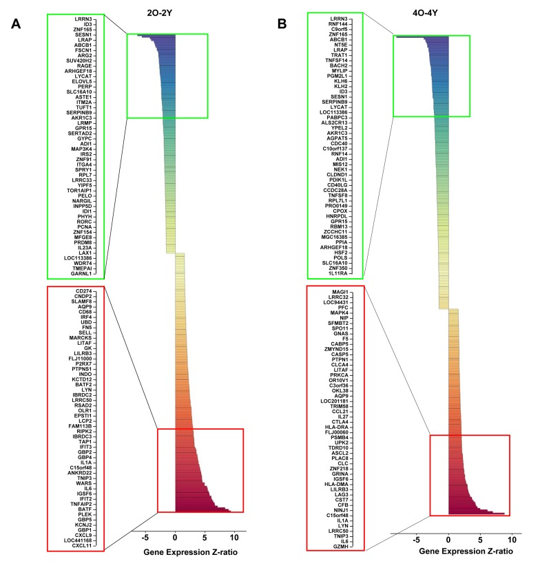 Age-associated alterations in TCR-inducible gene expression in human peripheral blood CD4+ T cells