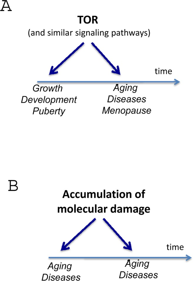 Harmonizing two theories for direct comparison