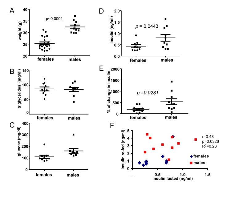 Metabolic profile of 6 months old males and females