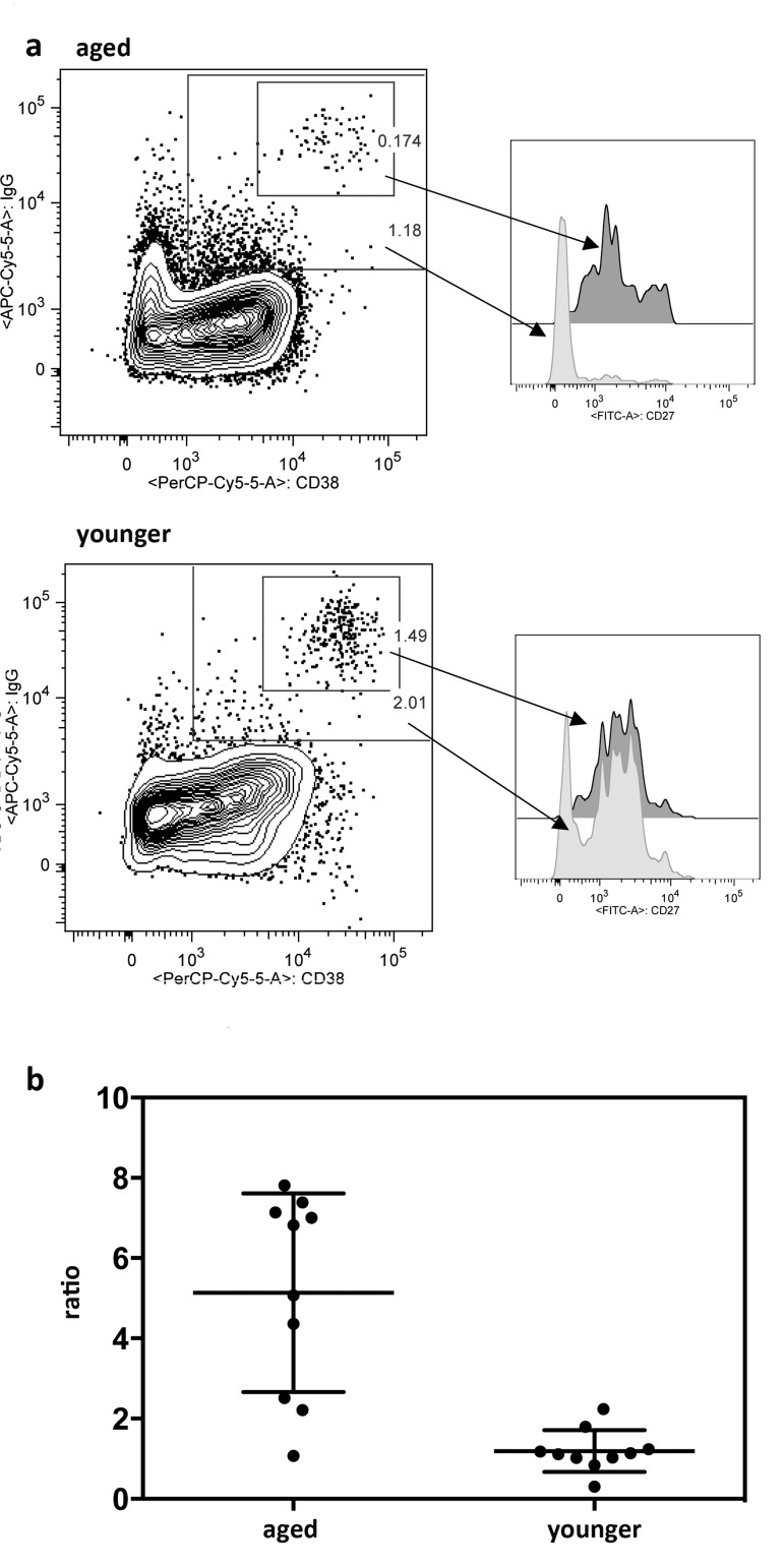 Expression of intracellular IgG