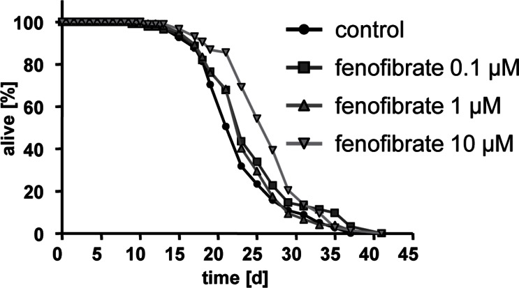 Fenofibrate extends lifespan of adult C. elegans