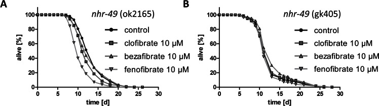 Life span extension through fibrates is NHR-49/PPARalpha-dependent