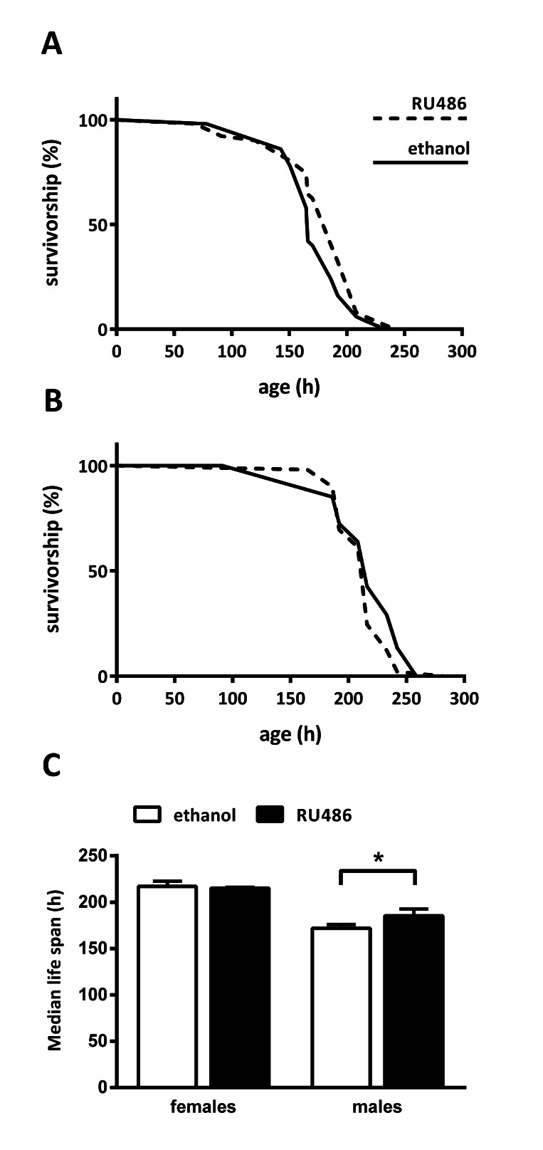 Fat body Sir2 increases starvation survival in males