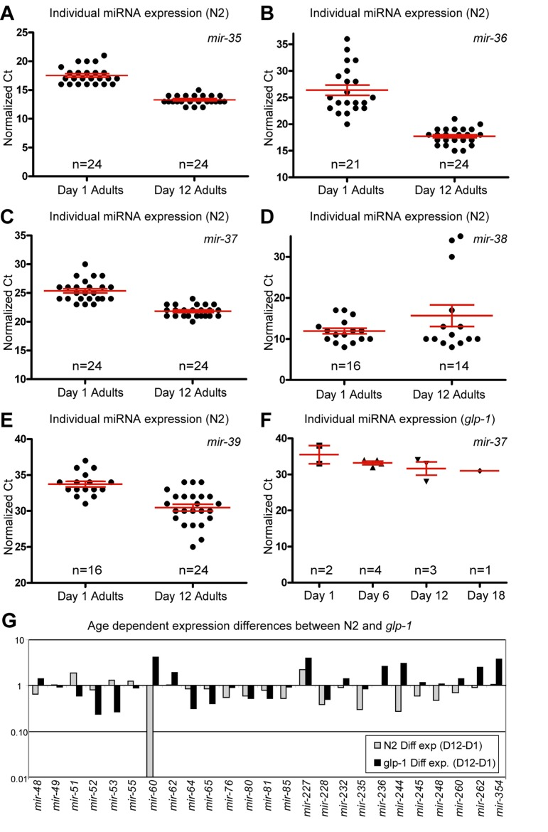 Presence of the germline alters miRNA abundance