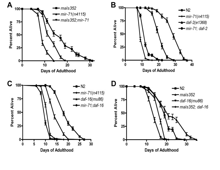 mir-71 acts at least partly in parallel to the IIS pathway