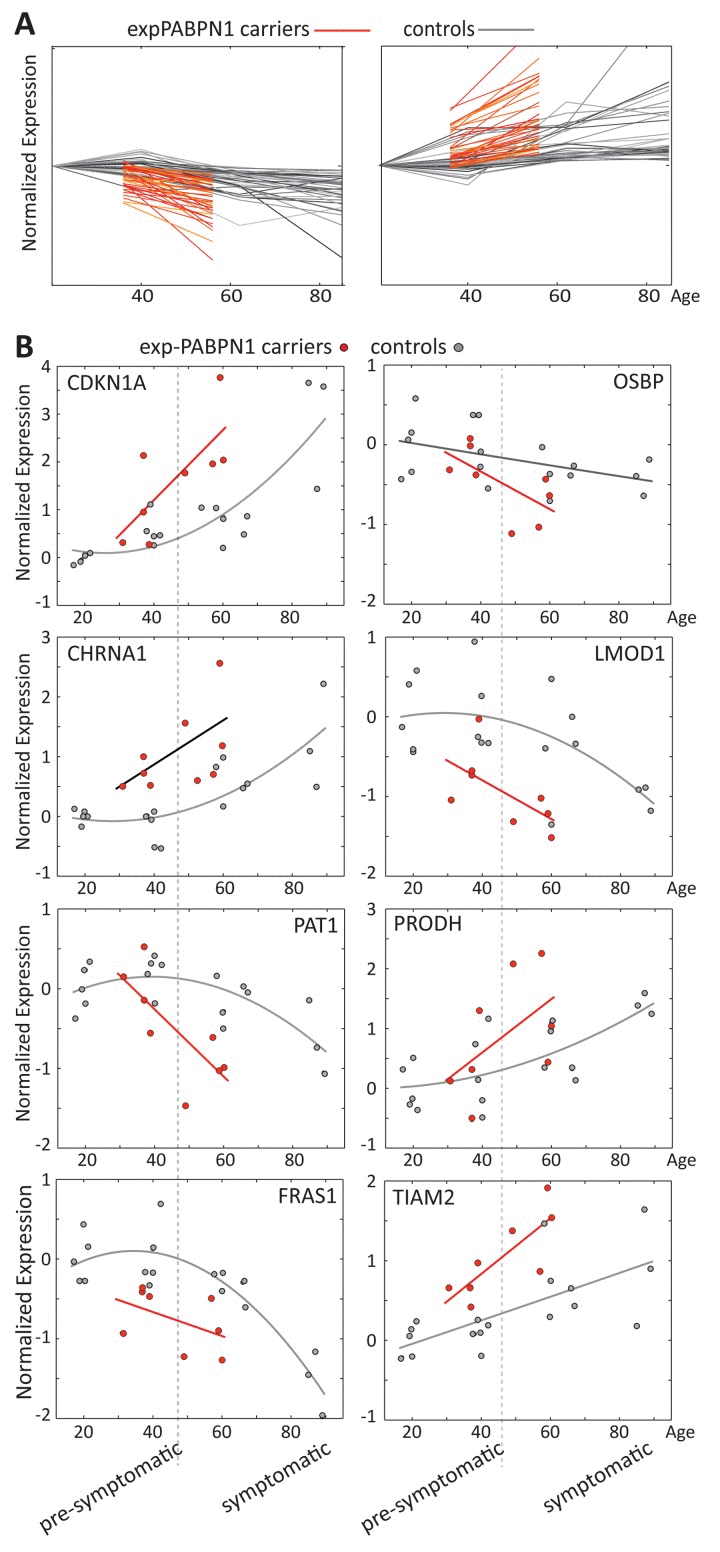 Age regulated gene expression trends change faster in OPMD