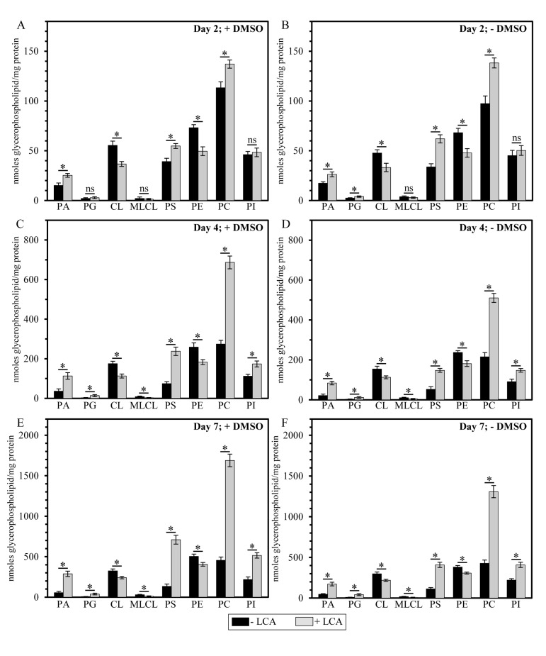 LCA exhibits age-dependent differential effects on the concentrations (calculated as nmoles of glycerophospholipid/mg of protein) of different species of mitochondrial membrane glycerophospholipids