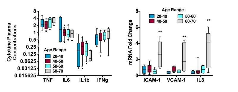 Assessment of aging-related plasma inflammatory potential reveals greater complex than presence of cytokines