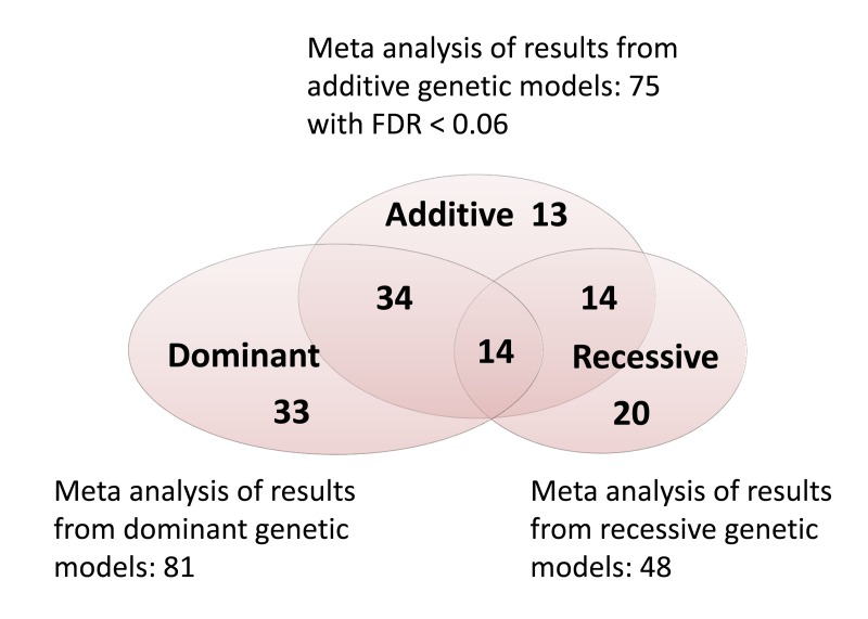 Venn diagram showing the number of significant associations from the meta-analysis of additive, dominant and recessive models when a 6% false discovery rate (FDR) was used. Genotypes were called using the top-strand rule and dominant and recessive models were coded for the top-strand allele A as explained in methods.