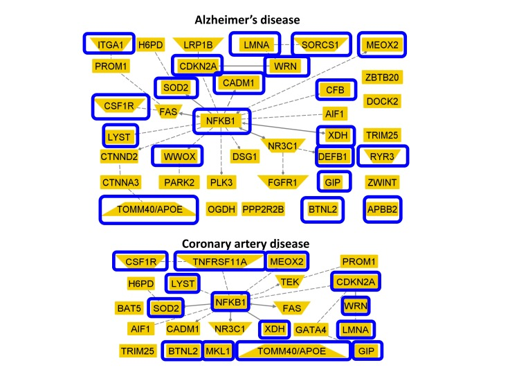 Genes with SNPs that reach statistical significance with meta-analysis and were implicated in Alzheimer's and coronary artery disease