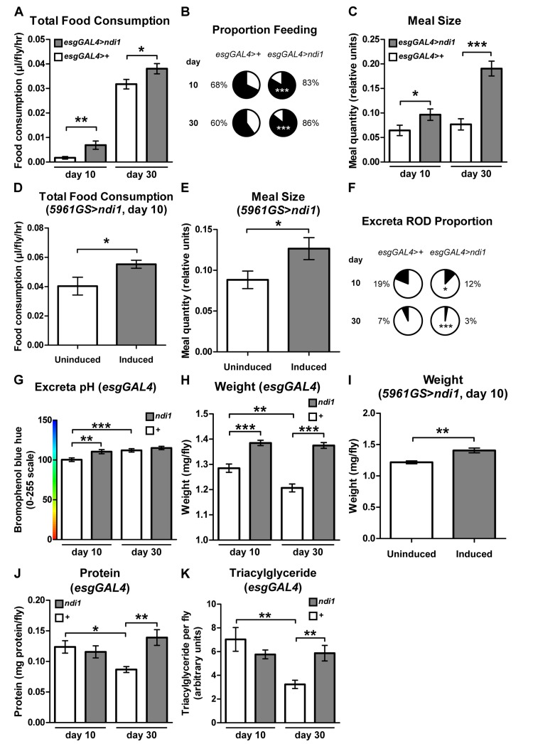 ndi1 expression in the intestine stimulates feeding behavior